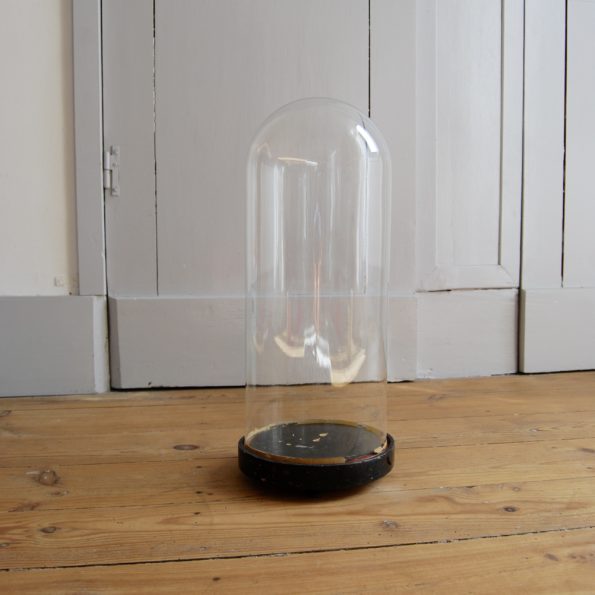 Globe de mariée en verre soufflé 19ème forme allongée bouteille socle en bois noirci